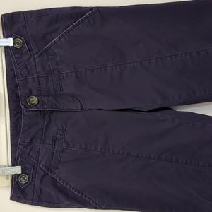 GREAT Anthropologie Idra Purple Crisp Cotton Pants- 4